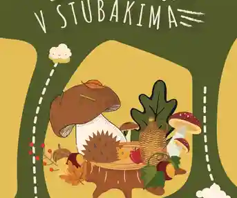 Gljivarenje & Co. v Stubakima